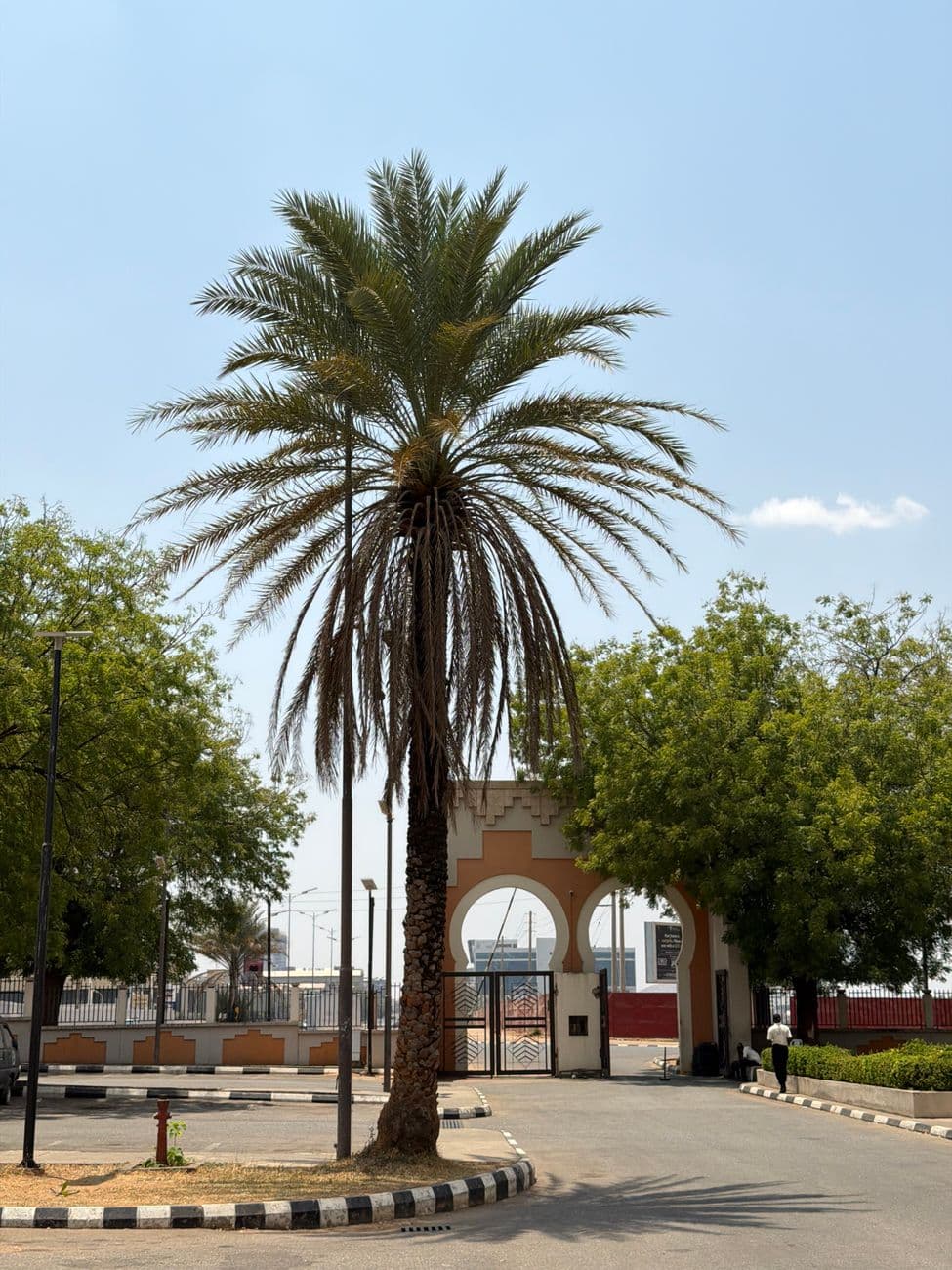 UAE traži više od diplome: veštine i AI menjaju značaj univerzitetskog obrazovanja